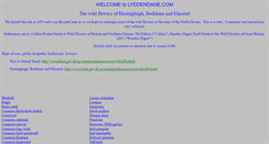 Desktop Screenshot of lyddendane.com